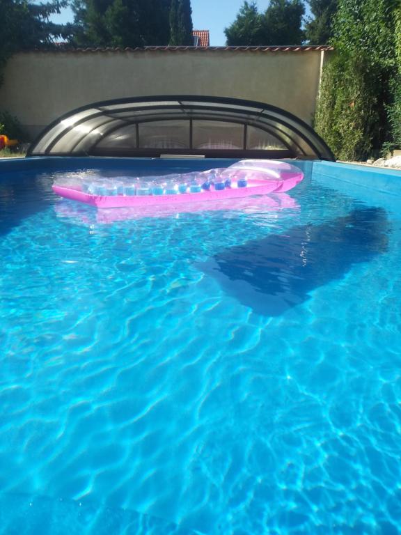 una zattera rosa gonfiabile in una piscina di DoMo apartment a Středokluky
