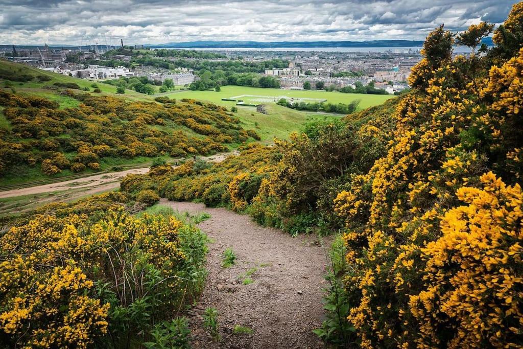 - une vue depuis le sommet d'une colline ornée de fleurs jaunes dans l'établissement Holyrood Park Main Door Apartment, à Édimbourg