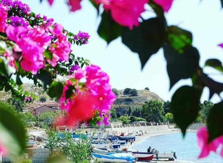 um monte de barcos na água com flores rosas em Finestra sul mare em Palizzi