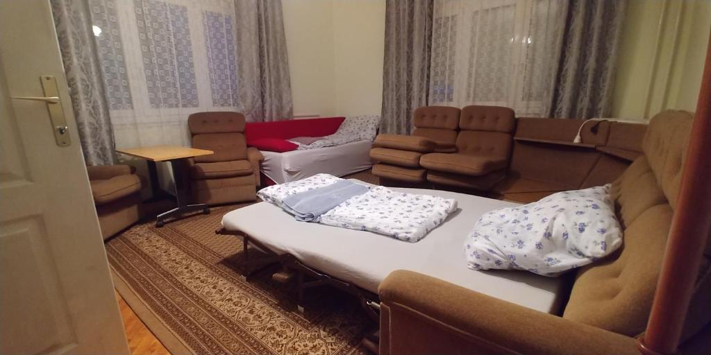 ニーレジハーザにあるAkhilleus vendégházのリビングルーム(ソファ、椅子付)