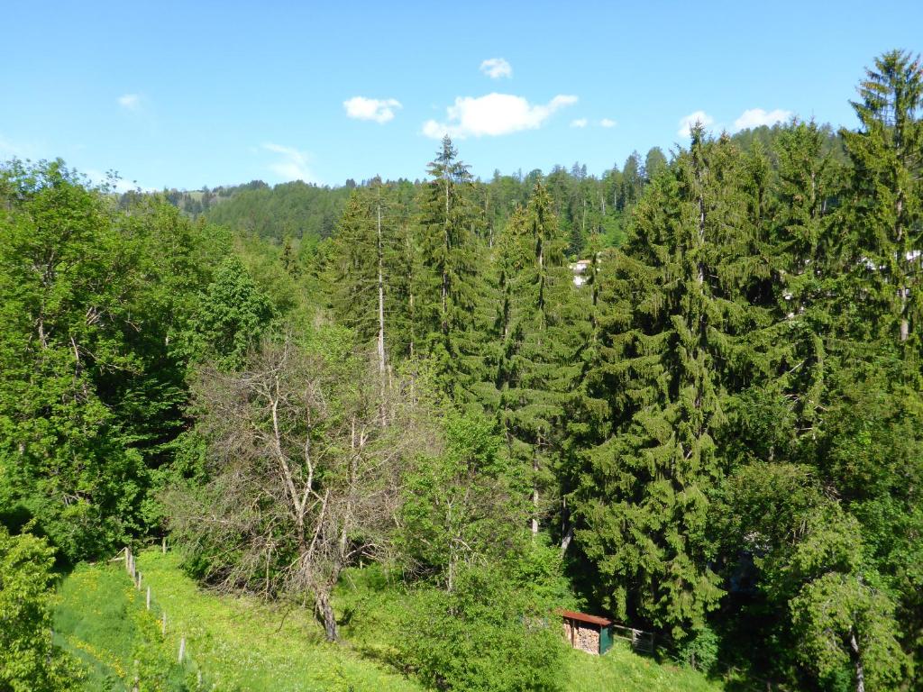 Příroda nedaleko apartmánu