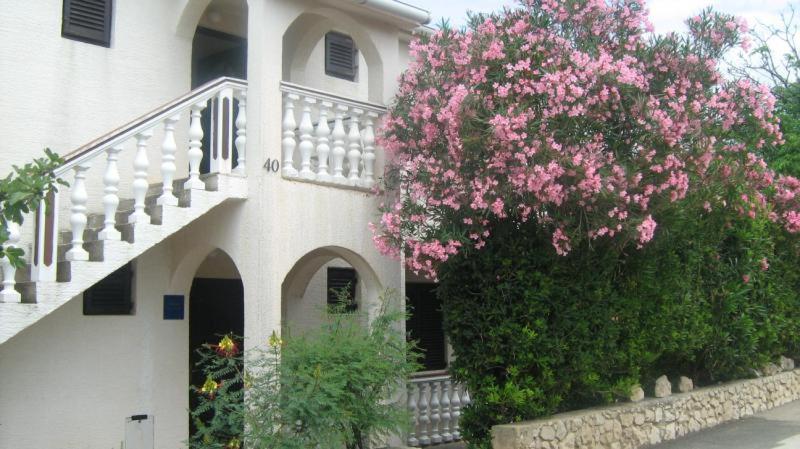 Zahrada ubytování Apartments MINT Povljana - 50m from sandy beach