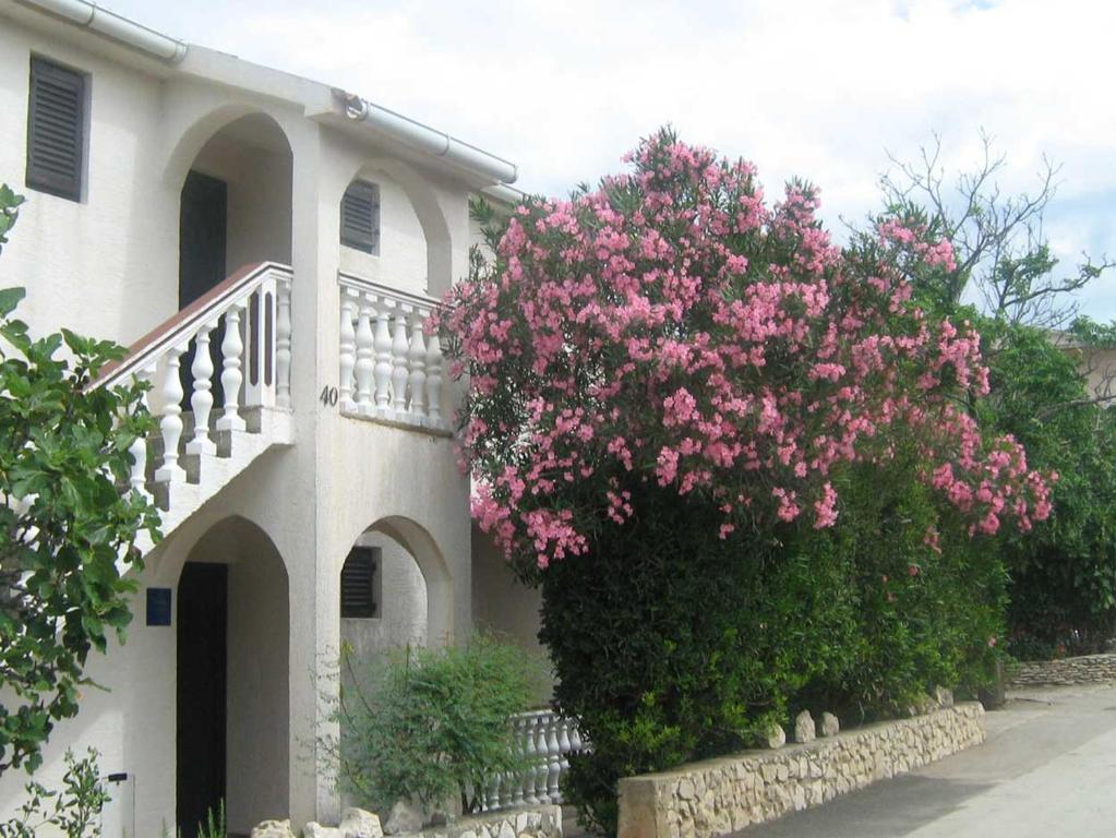 Zahrada ubytování Apartments MINT Povljana - 50m from sandy beach
