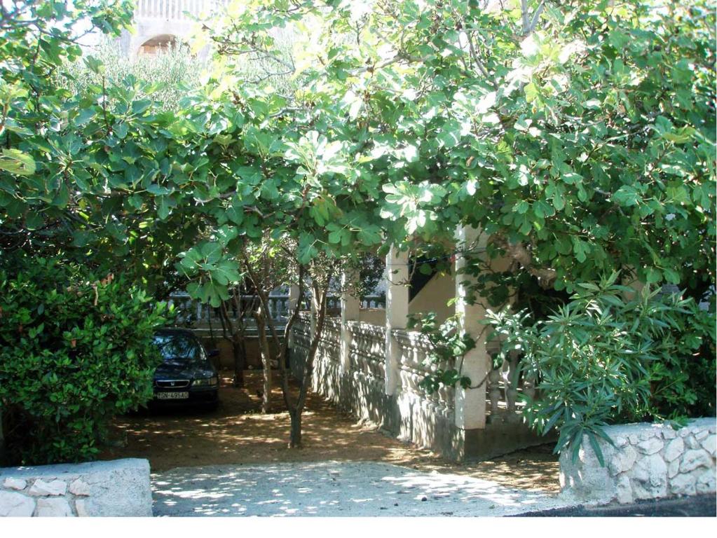 Zahrada ubytování Apartments MINT Povljana - 50m from sandy beach