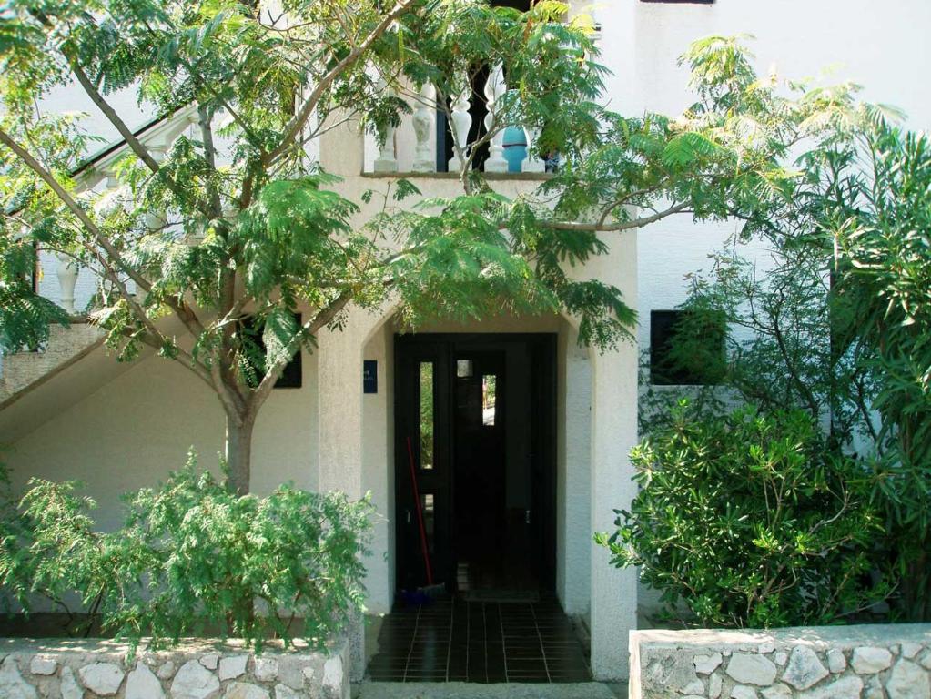 Zahrada ubytování Apartments MINT Povljana - 50m from sandy beach