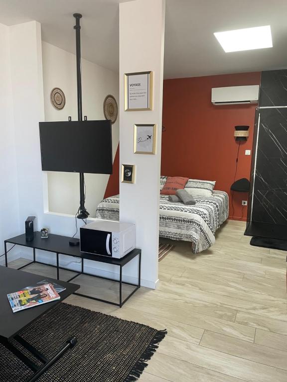 a living room with a bed and a tv in it at Studio Cosy tt confort proche aéroport in Colombier-Saugnieu