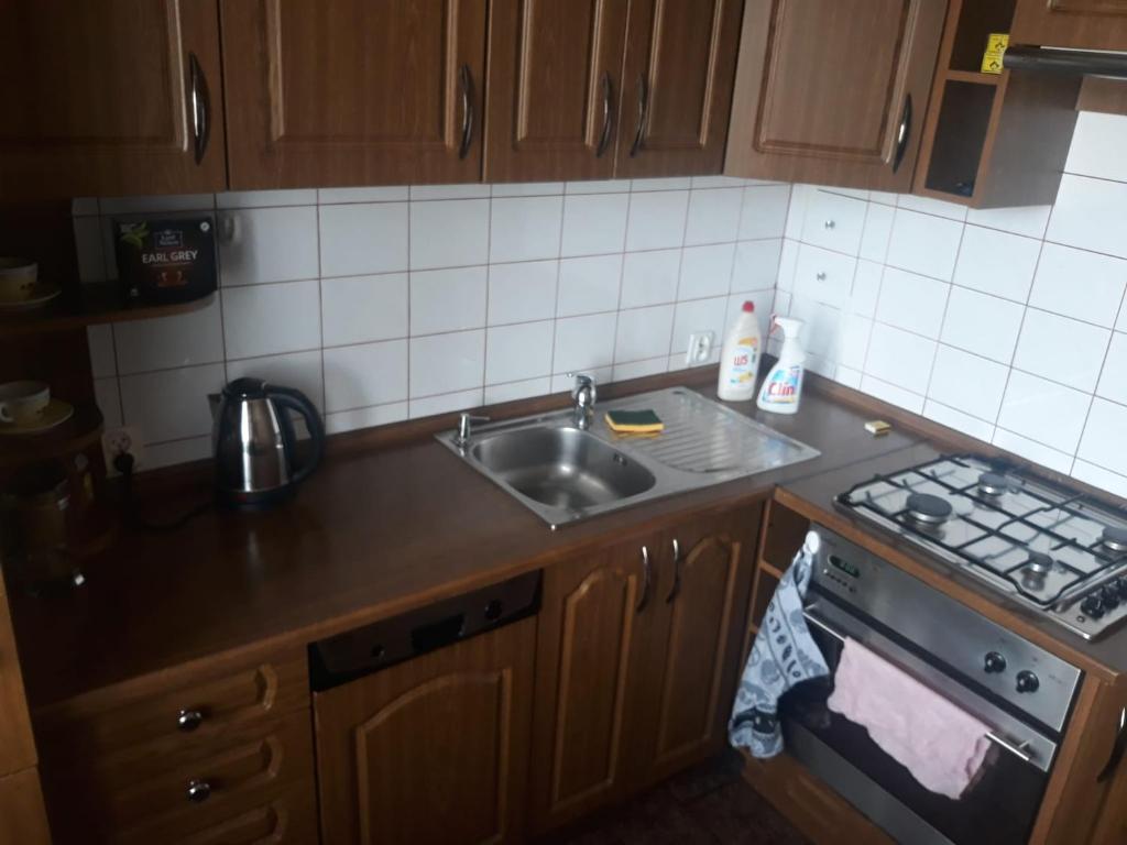 Kuchyňa alebo kuchynka v ubytovaní Apartament Palisadowa