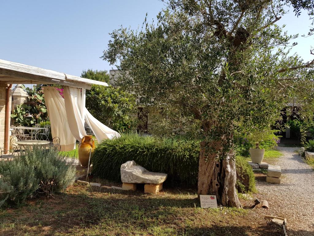 Zahrada ubytování B&B Masseria Dei 12 Granai