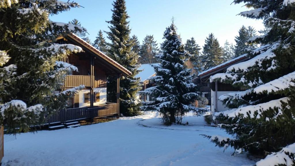 una cabaña en el bosque en la nieve en Ferienhaus im Waldferiendorf Regen, en Regen
