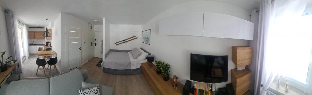 Televízia a/alebo spoločenská miestnosť v ubytovaní Apartament pod Świerkami