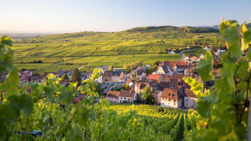 Cute house in Alsace – photo 10