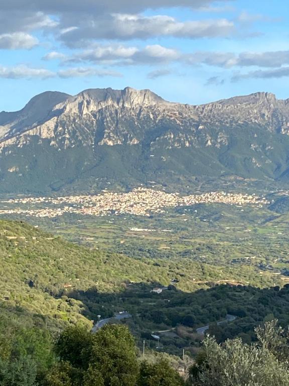 vistas a una cordillera con árboles y edificios en Casa Corofulu Oliena - IUN P2139, en Oliena