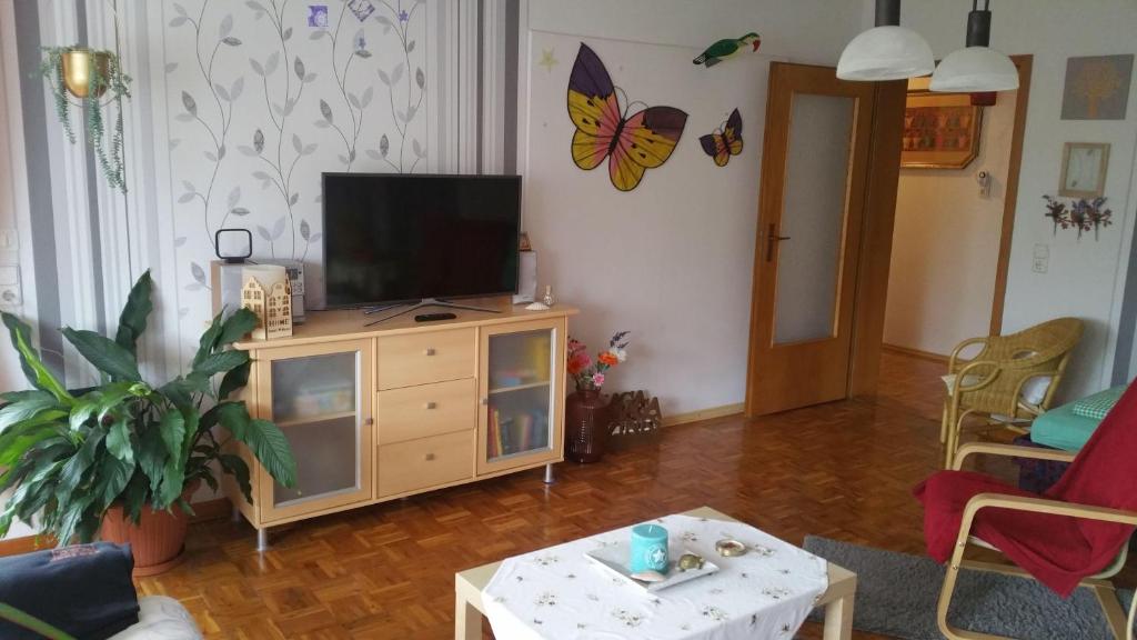 a living room with a television on a cabinet at Haus-in-Gemuenden-an-der-Wohra in Gemünden an der Wohra