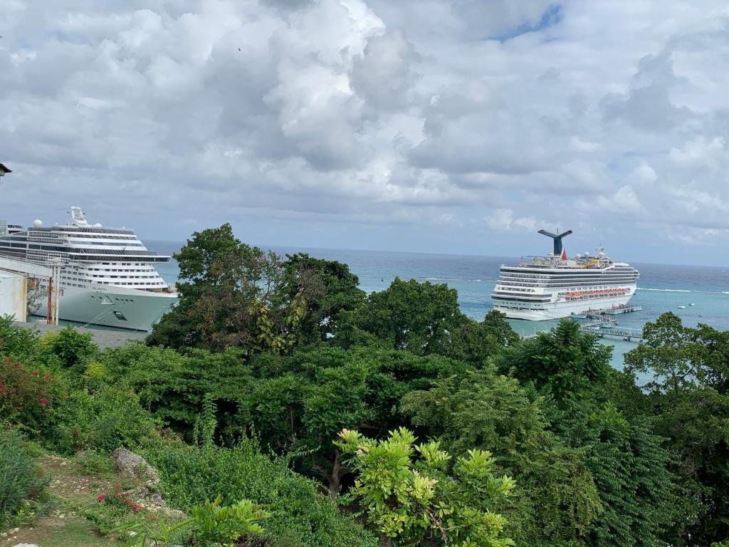 twee cruiseschepen in de oceaan met bomen bij Kris’o Super Studio in Ocho Rios