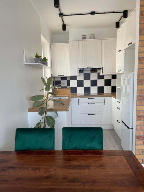 Kuchyňa alebo kuchynka v ubytovaní Apartament Dziewiątka