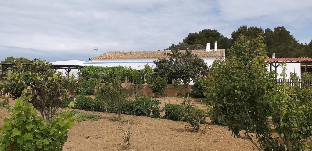 un giardino alberato di fronte a una casa di Can Joan Barber, 1 a La Mola