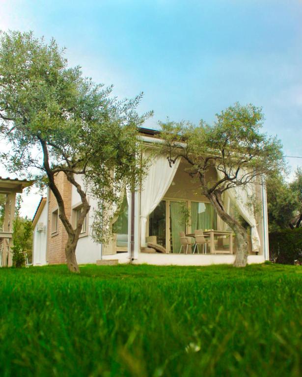 Zahrada ubytování Olive Dream Thassos Luxury Villas