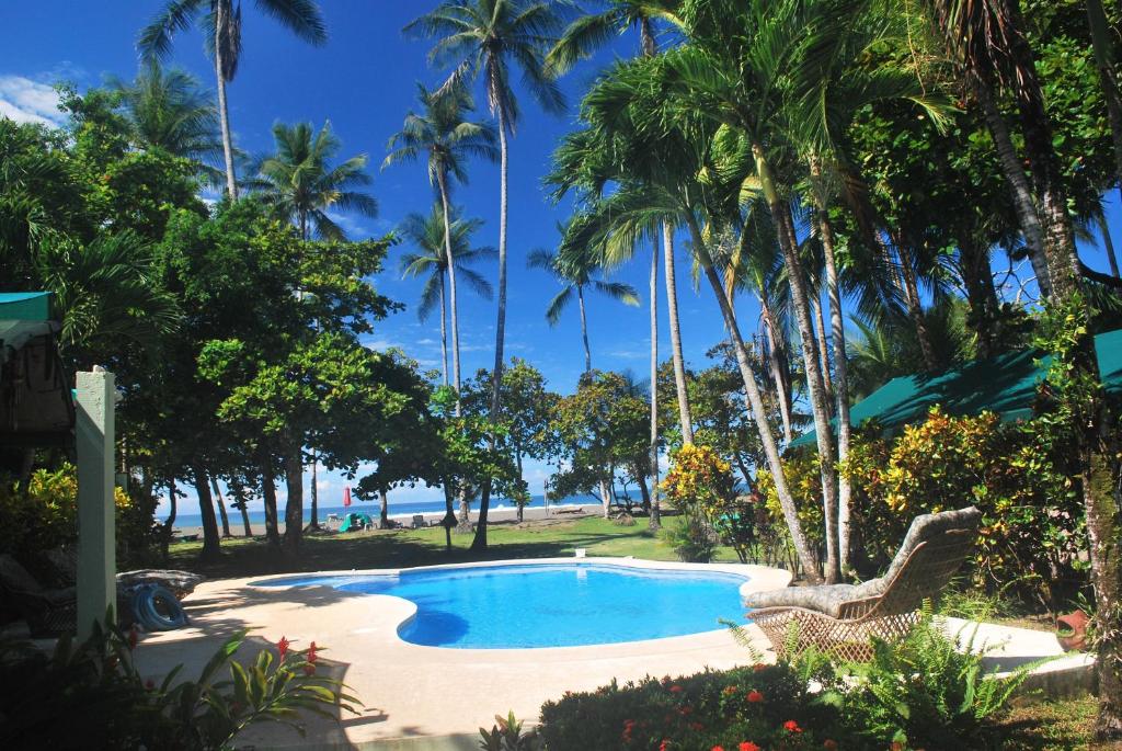 una piscina junto a una playa con palmeras en Rafiki Beach Camp, en Matapalo