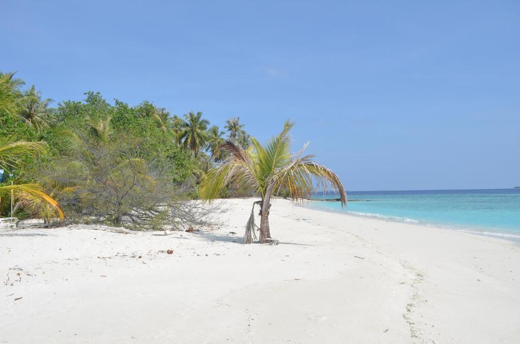 Sunny Day Inn Maldives - View 27