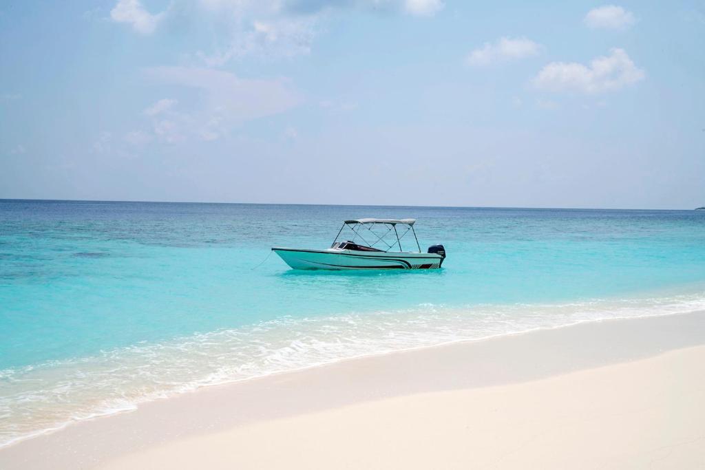 Sunny Day Inn Maldives - View 18