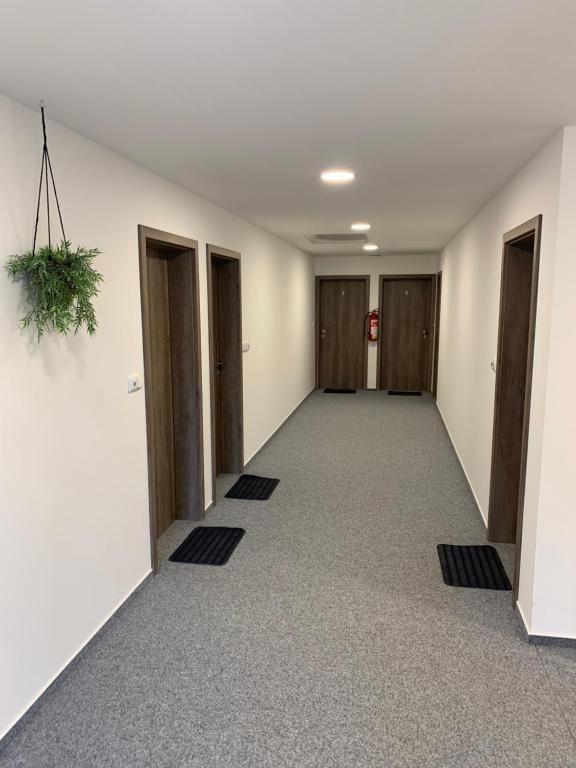 Imagem da galeria de Chata Omicron em Bítov