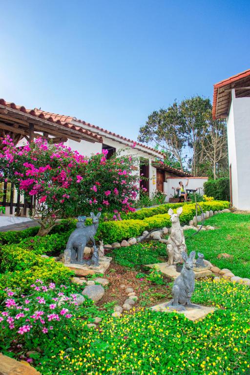 Zahrada ubytování Timbarra Cottage
