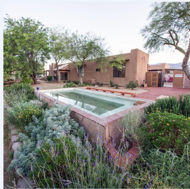 a swimming pool in the middle of a garden at Turtle Back Mesa Bed and Breakfast in Indio