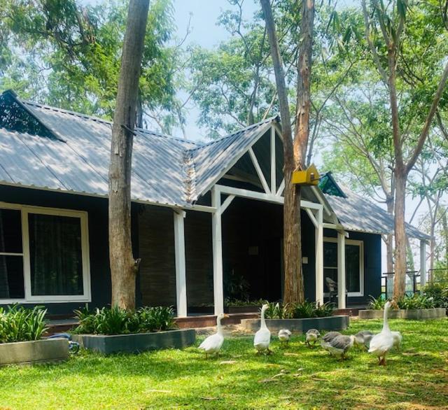 eine Gruppe von Vögeln, die vor einem Haus stehen in der Unterkunft 1000 SILVERS -Farmhouse Stay in Mysore