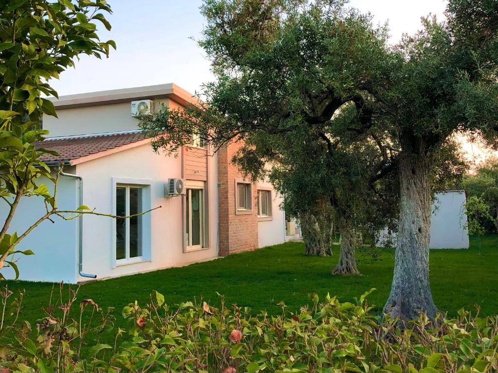 Zahrada ubytování Olive Dream Thassos Luxury Villas