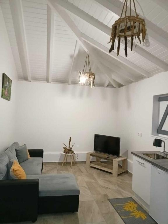 TV a/nebo společenská místnost v ubytování O'Parad'îles
