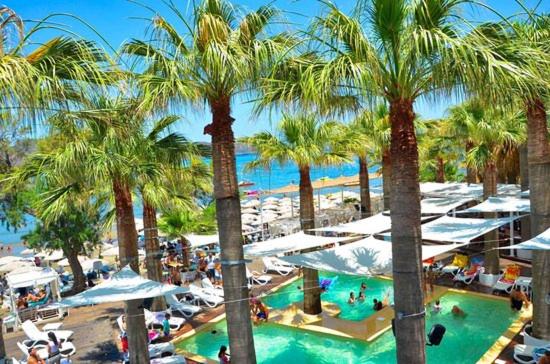ośrodek z basenem z palmami i plażą w obiekcie Kyriaki's Cozy Apartments w mieście Agia Marina Nea Kydonias