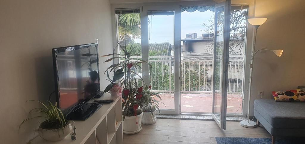 Televízia a/alebo spoločenská miestnosť v ubytovaní Apartman LAMI