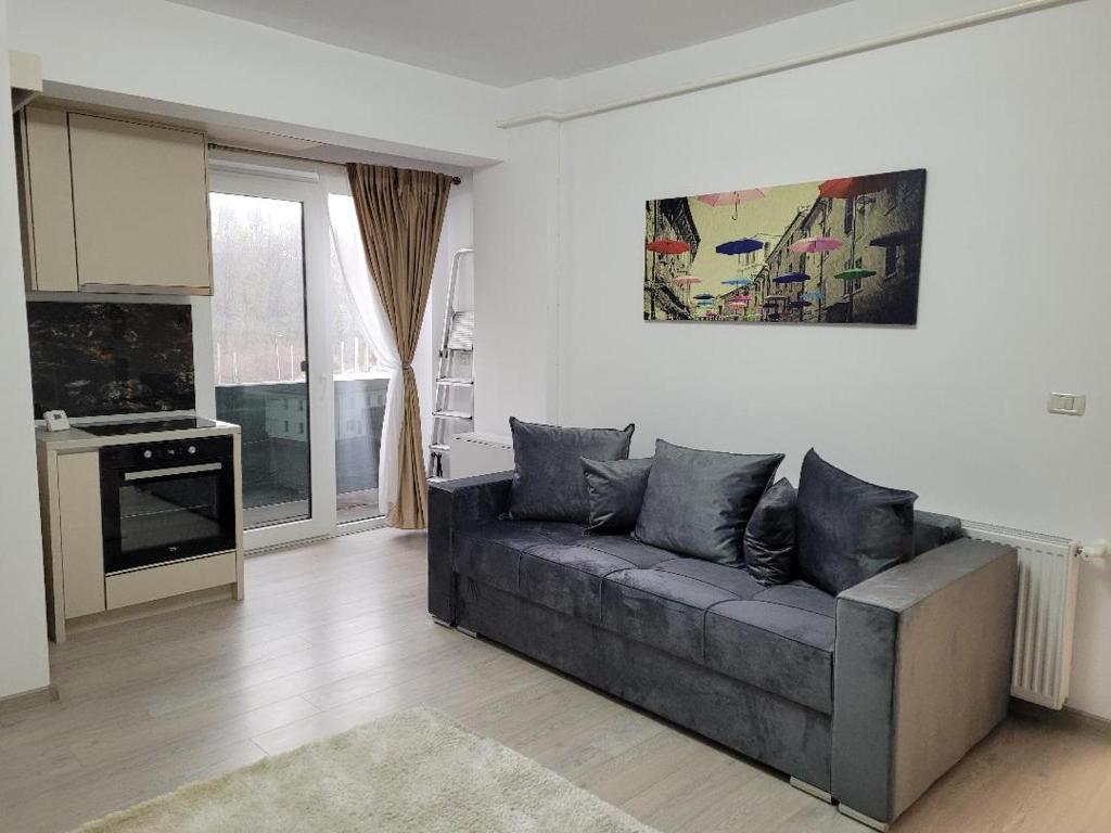 Balada Apartment Suceava