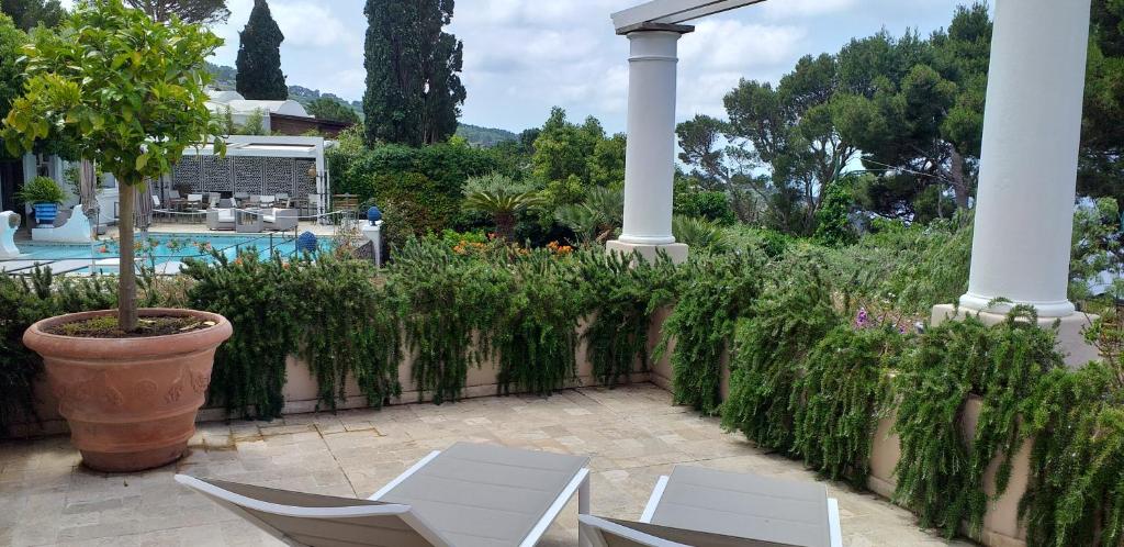 a patio with two white chairs and a potted plant at Hotel Orsa Maggiore in Anacapri