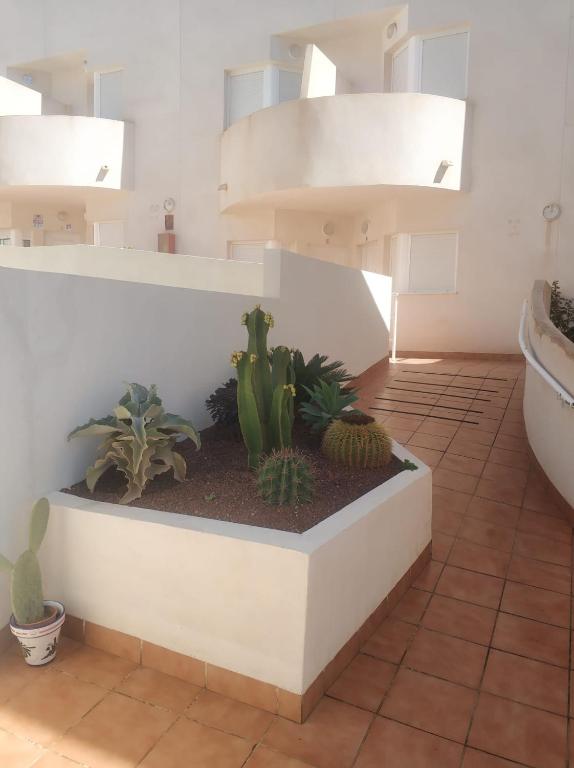 Fotografie z fotogalerie ubytování Apartamento, Casa, Chalet Adosado FRENTE AL MAR v destinaci Carboneras