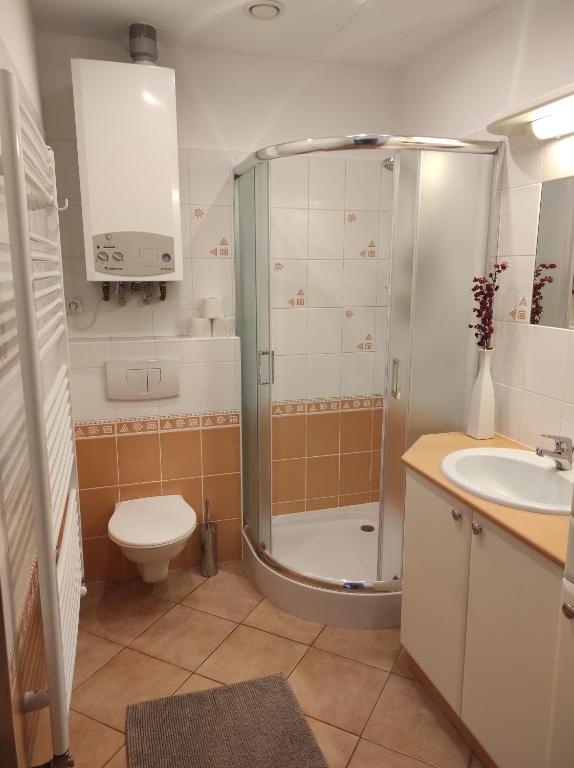 un bagno con doccia, WC e lavandino di DoMo apartment a Středokluky