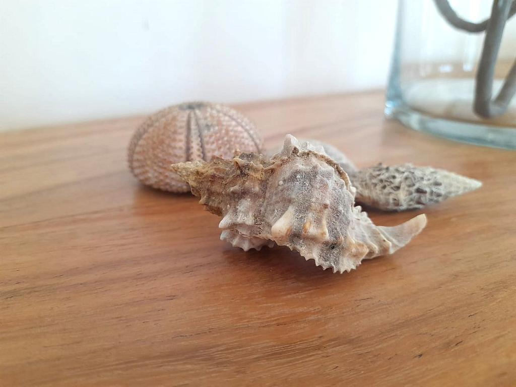 Kép Villa Agrielia szállásáról Póndiban a galériában