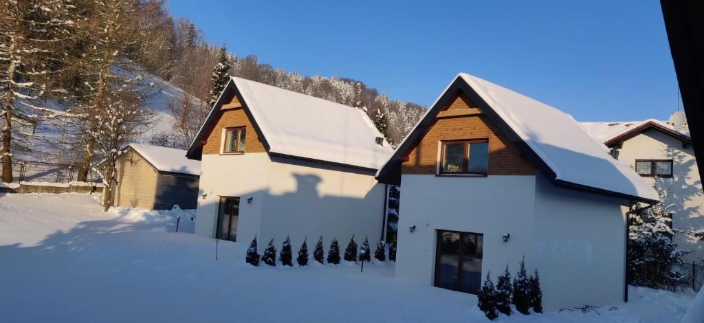 Beskid Ski Villa - 2