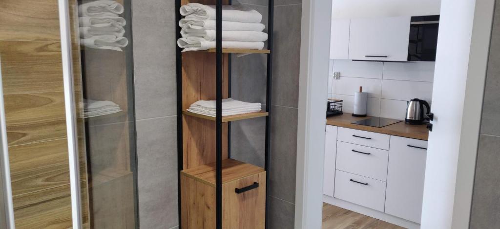 Beskid Ski Villa - 4