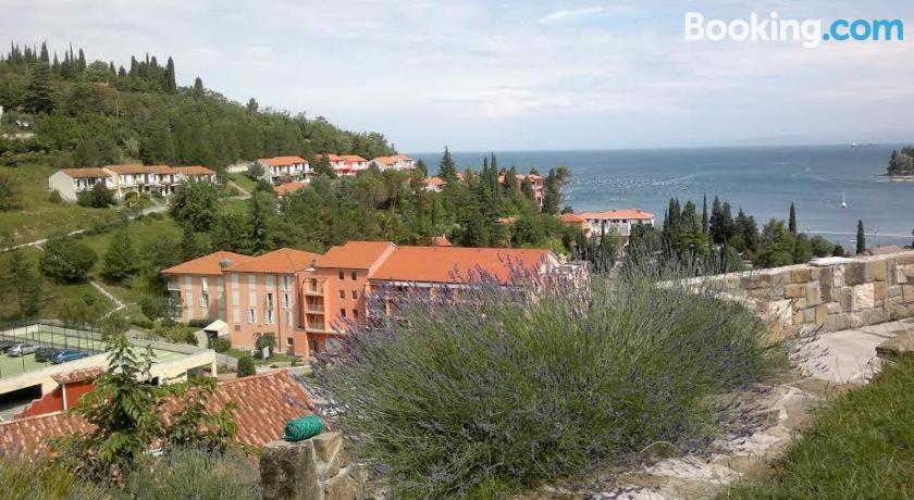 un groupe de maisons sur une colline à côté de l'océan dans l'établissement Heart of Strunjan Apartments AL, à Strunjan