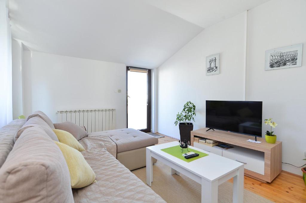 TV a/nebo společenská místnost v ubytování Apartments Drago 589