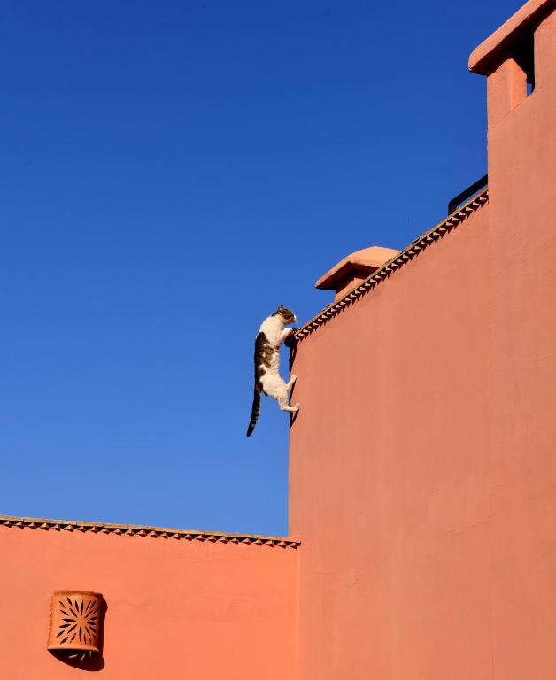 Hosté ubytování Riad Lamzia