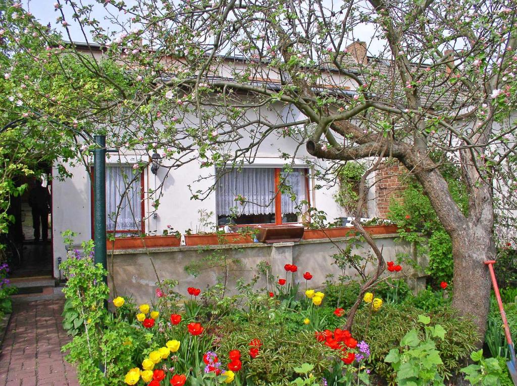マルヒョーにあるFerienhaus Malchow SEE 4671の花の庭が目の前にある家
