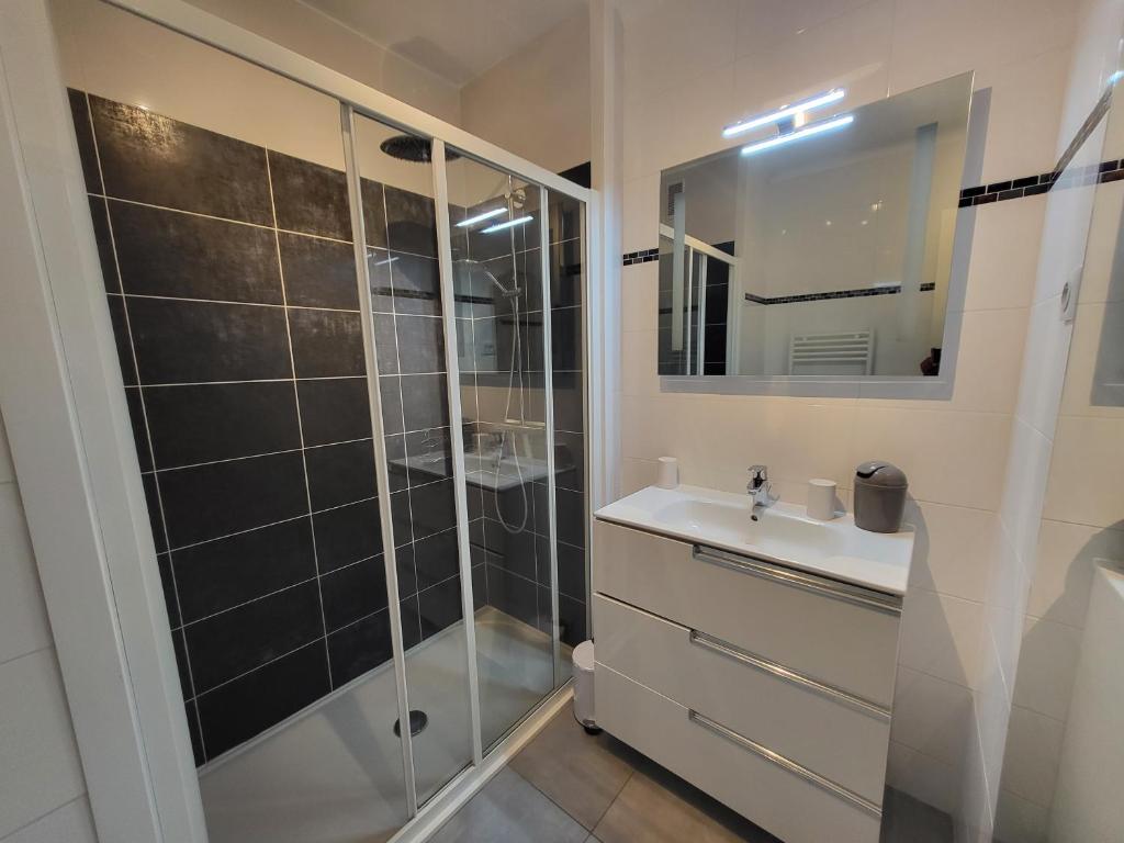un baño con ducha y lavabo en LE COLOMBIER STUDIO, en Antibes