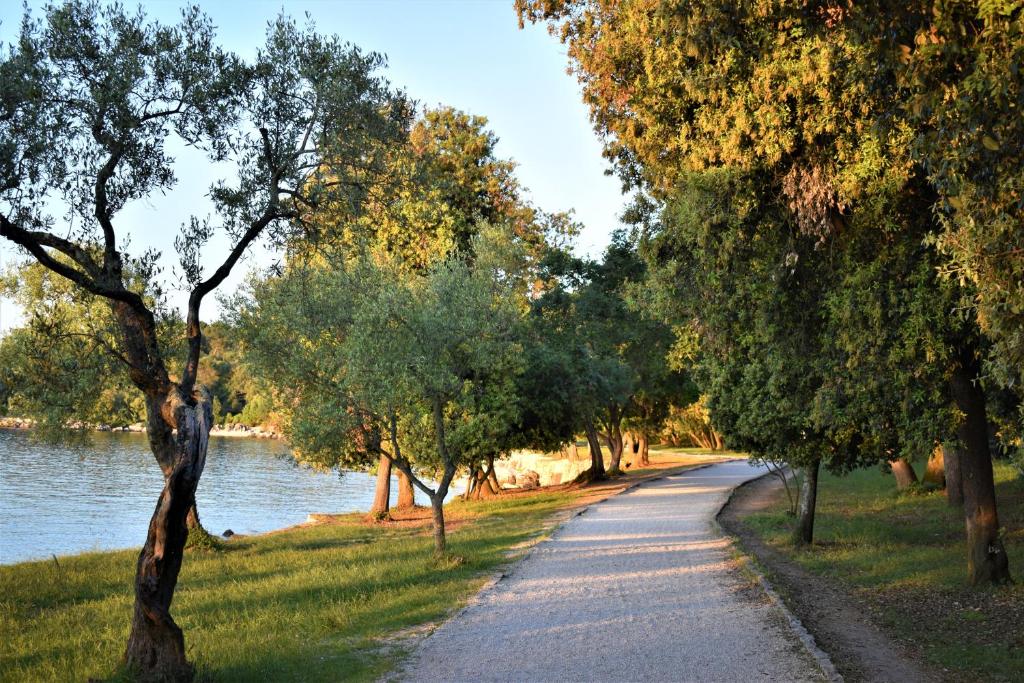 Apartments & Rooms Ivana - 9