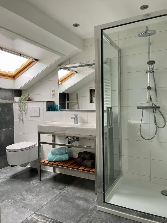 een badkamer met douche en wastafel bij Divi Divi Zandvoort in Zandvoort