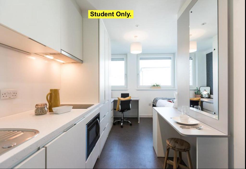 Modern Studios for STUDENTS Only, BRIGHTON - SK
