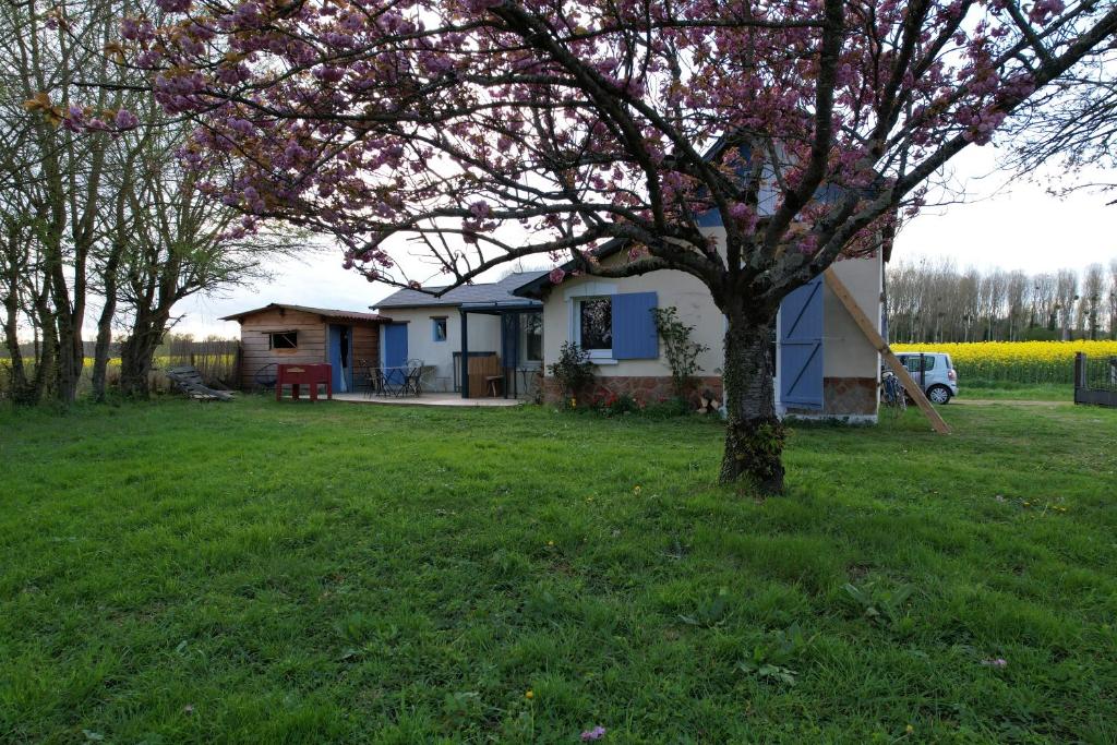 ein kleines Haus auf einem Feld mit einem Baum in der Unterkunft Le gîte du loir à vélo, gîte d'étape, backpacker in Marçon