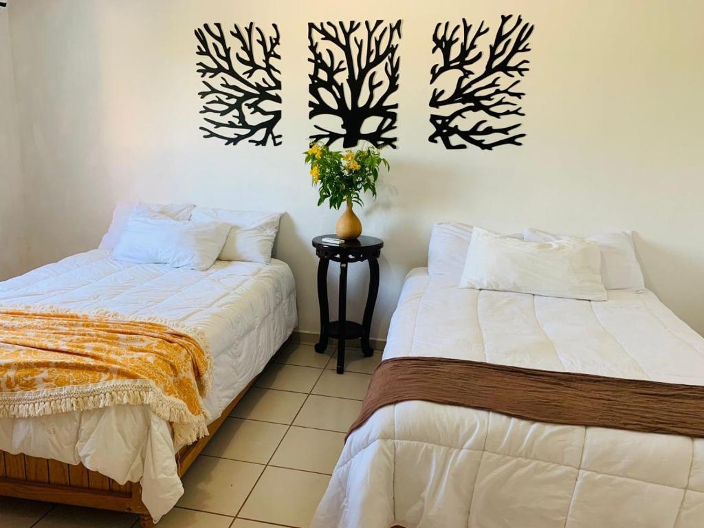 Casa Coco - Housity
