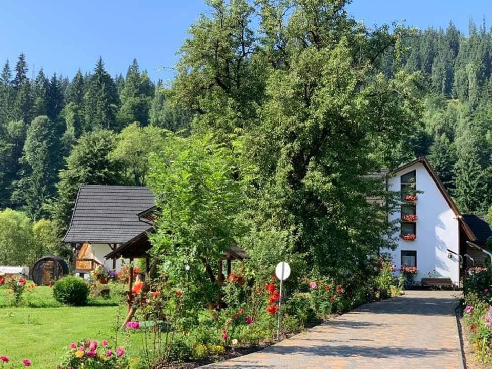 Zahrada ubytování Casa Baciu